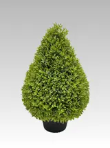 46.99CM Boxwood Water Drop Medium Potted Plant thumbnail 1