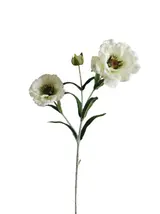Silk 50*18*5CM Little poppy flower - White - Wholesale Artificial Flowers | EBJ0725040#1 thumbnail 1