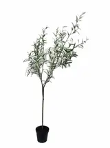 228.6CM Curled Olive Leaf Potted Plant (Segmented) thumbnail 1