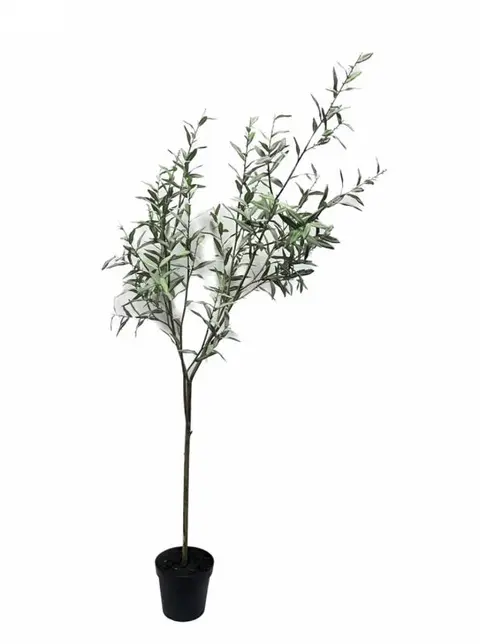 228.6CM Curled Olive Leaf Potted Plant (Segmented)