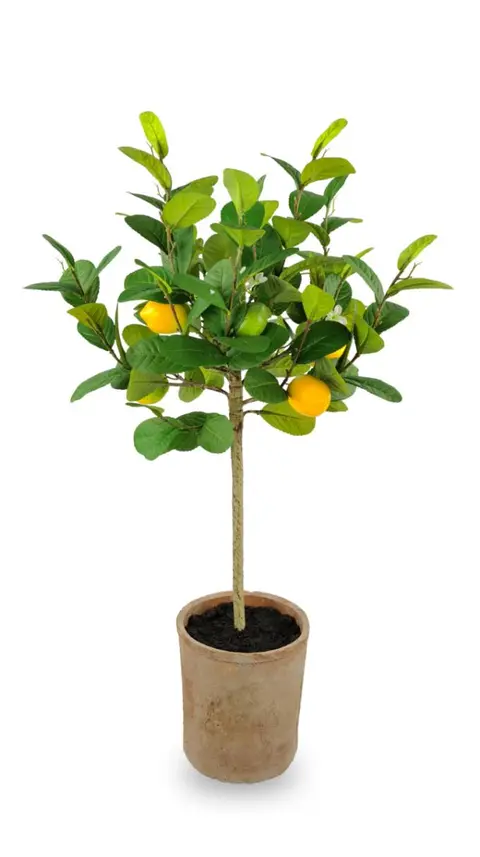 76.2CM Lemon Fruit Large Potted Plant