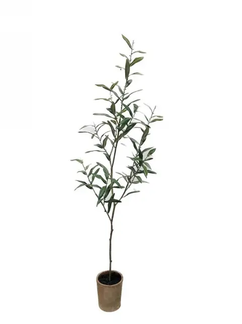 121.92CM Curled Olive Leaf Potted Plant