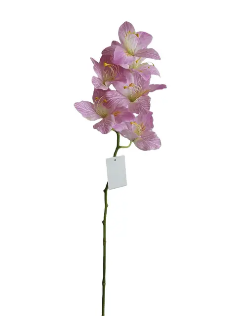 Real Touch 73*12*5CM Chinese Orchid - Assorted - Wholesale Artificial Flowers | EBG0425617#PK