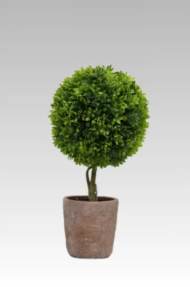 39.37CM Boxwood Ball Medium Potted Plant