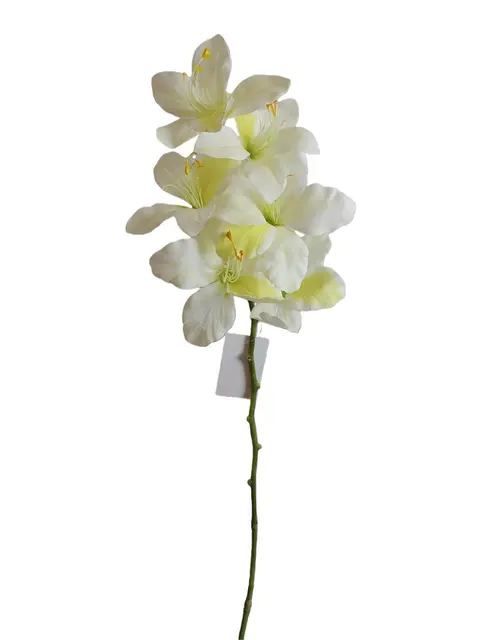 Real Touch 73*12*5CM Chinese Orchid - Assorted - Wholesale Artificial Flowers | EBG0425617#WH