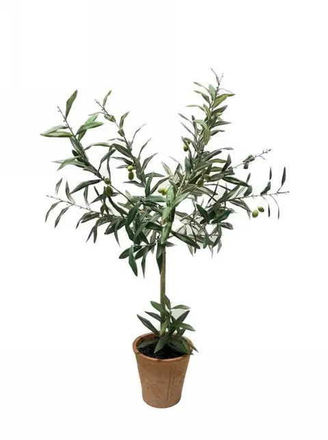 104.14CM Curled Olive Leaf with Fruit Potted Plant