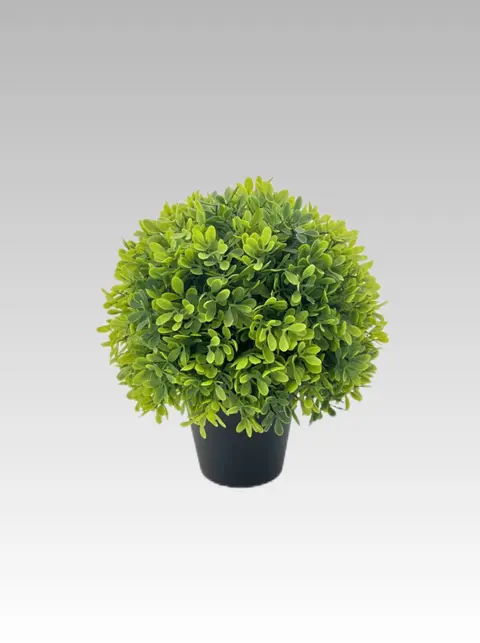 22.86CM Boxwood Ball Potted Plant