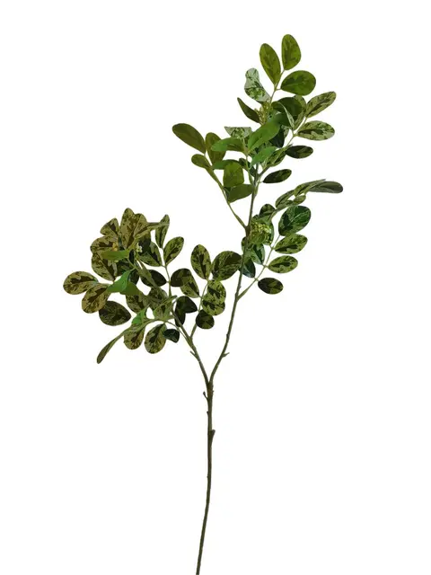 Silk 95*25*10CM Bean leaves - Assorted - Wholesale Artificial Flowers | EB0426012#GR