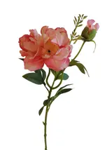 Silk 68*16*10CM Imperial Concubine Peony - Assorted - Wholesale Artificial Flowers | EB0426011#PK thumbnail 1