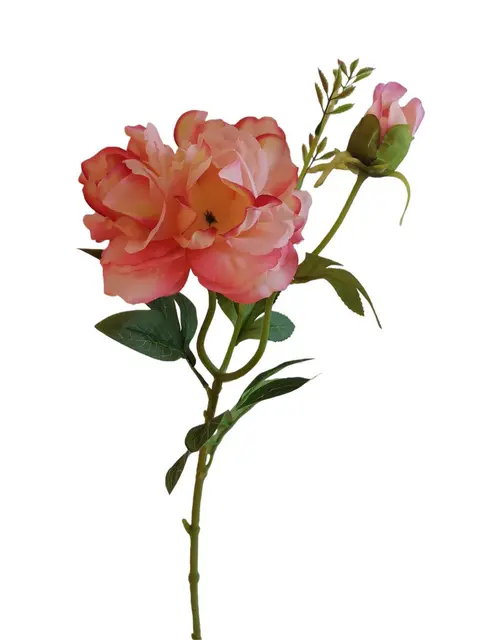 Silk 68*16*10CM Imperial Concubine Peony - Assorted - Wholesale Artificial Flowers | EB0426011#PK