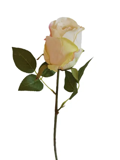 Silk 42*13*6CM Rugosa rose - Cream - Wholesale Artificial Flowers | EB0326009#2