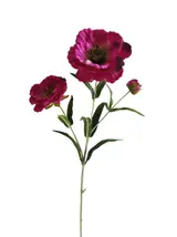Silk 50*18*5CM Little poppy flower - Fuchsia - Wholesale Artificial Flowers | EBJ0725040#5 thumbnail 1