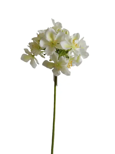 Real Touch 62*17*12CM Pear Blossom - Assorted - Wholesale Artificial Flowers | EBG0426607#WH