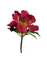 Silk 20*13*5CM Pansy - Fuchsia - Wholesale Artificial Flowers | EBZ2326222#04 thumbnail 1