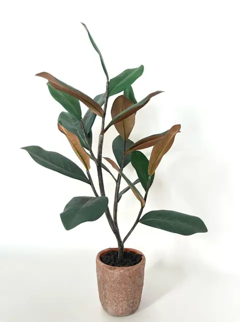 63.5CM Kapok Leaf Small Potted Plant