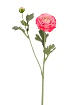 Real Touch Artificial Ranunculu Stem - 2 Heads - 19.29" thumbnail 3