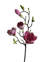 Silk 70*23*10CM Magnolia - Assorted - Wholesale Artificial Flowers | EB022604235#PU thumbnail 1
