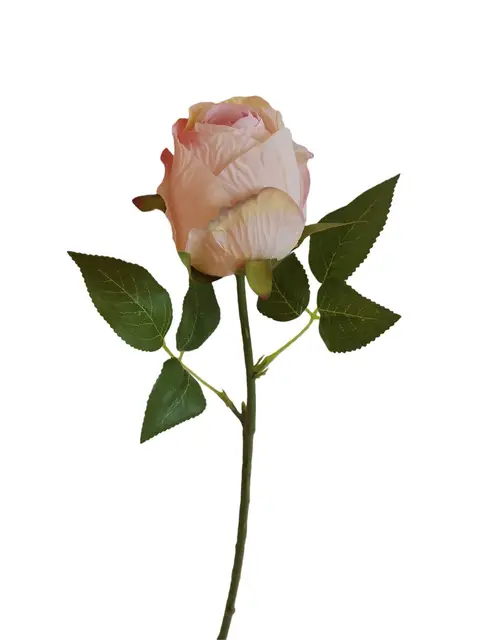 Silk 42*13*6CM Rugosa rose - LIGHT PINK - Wholesale Artificial Flowers | EB0326009#3