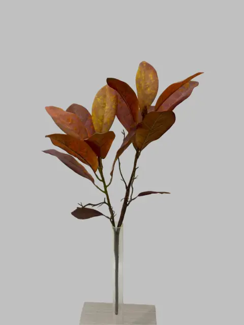 Decorative Pine Cone Pack - EBZ0325224#F005