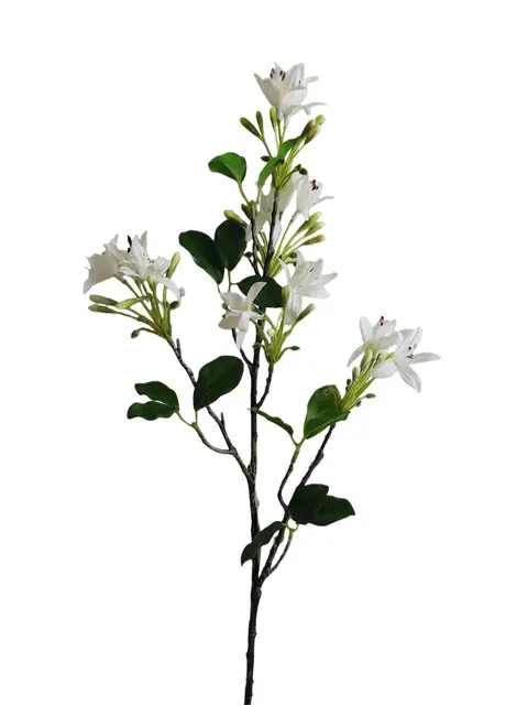 Real Touch 66*22*8CM Jasmine - Assorted - Wholesale Artificial Flowers | EBG0426619#WH