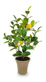 67.31CM Lemon Fruit Medium Potted Plant thumbnail 1