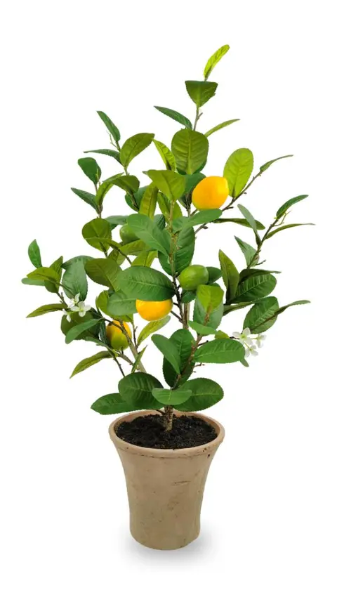 67.31CM Lemon Fruit Medium Potted Plant