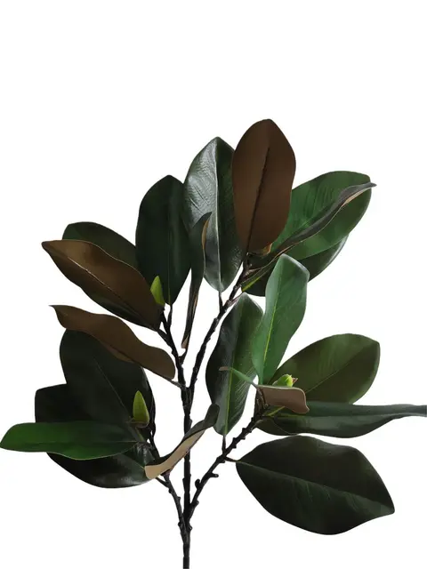 Real Touch 65*30*12CM Magnolia leaf - Assorted - Wholesale Artificial Flowers | EB022604303#GR