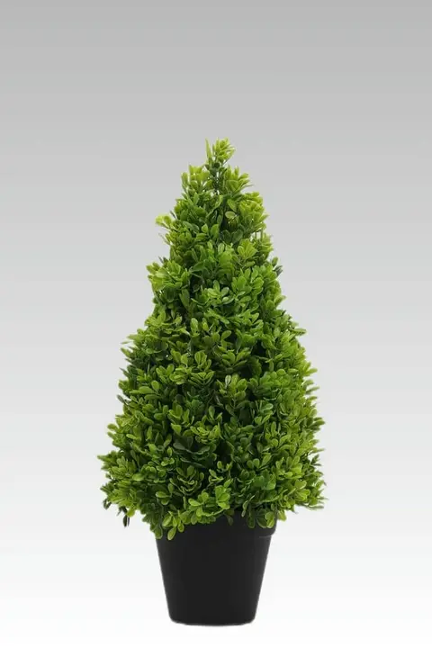 44.45CM Boxwood Potted Plant