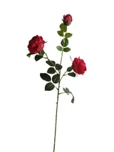 Silk 82*20*9CM Bud rose - Red - Wholesale Artificial Flowers | EBJ0725010#2 thumbnail 1