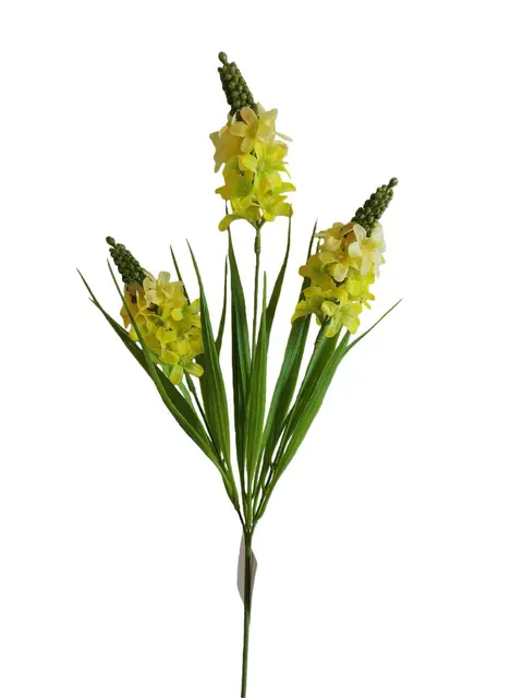 Hyacinth - Assorted