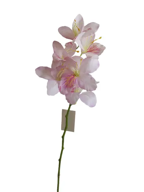 Real Touch 73*12*5CM Chinese Orchid - Assorted - Wholesale Artificial Flowers | EBG0425617#WH.PK