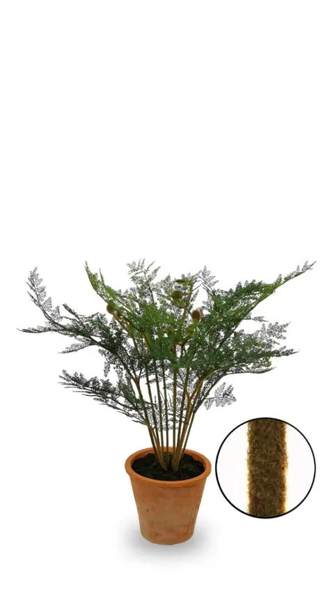 73.66CM Fern Leaf with Fuzz Potted Plant