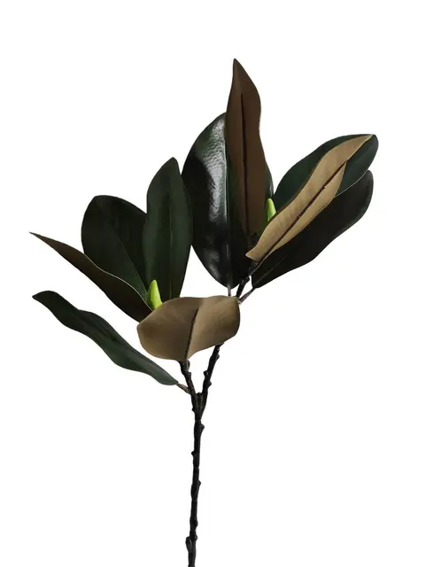 Real Touch 65*20*10CM Magnolia leaf - Assorted - Wholesale Artificial Flowers | EB022602377#GR