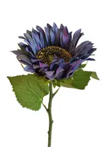 Sunflower - Assorted thumbnail 1