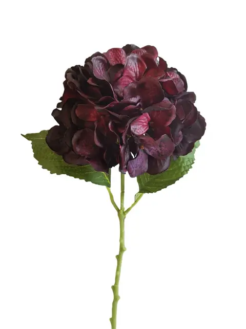 Real Touch 50*20*10CM Hydrangea - Assorted - Wholesale Artificial Flowers | EBG04530938#BU