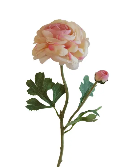 Silk 60*13*5CM Camellia - Assorted - Wholesale Artificial Flowers | EB0326012#2LT.PK