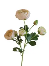 Silk 50*19*9CM Camellia - Cream - Wholesale Artificial Flowers | EB0326007#2 thumbnail 1