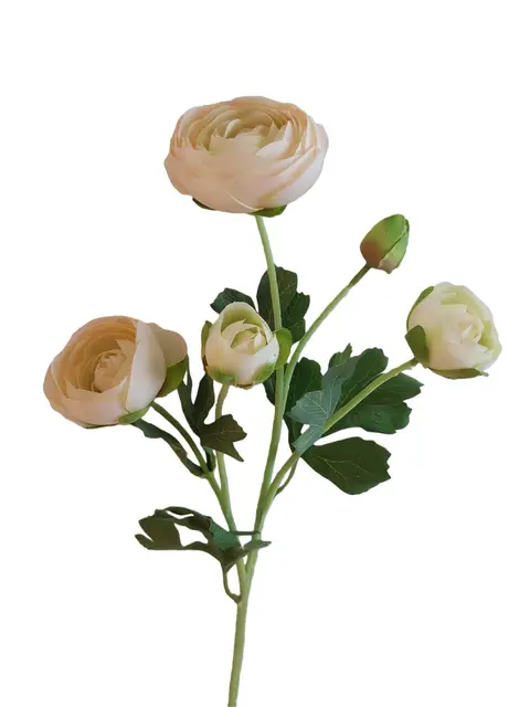 Silk 50*19*9CM Camellia - Cream - Wholesale Artificial Flowers | EB0326007#2
