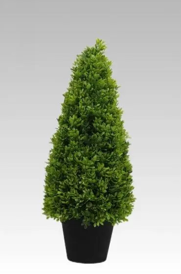 64.77CM Boxwood Potted Plant