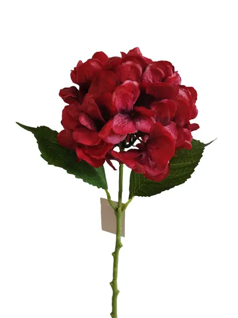 Real Touch 50*20*10CM Hydrangea - Assorted - Wholesale Artificial Flowers | EBG04530938#RD