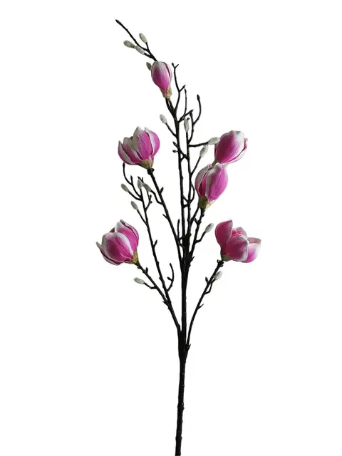 Silk 125*30*12CM Magnolia - Assorted - Wholesale Artificial Flowers | EB022606143#PU