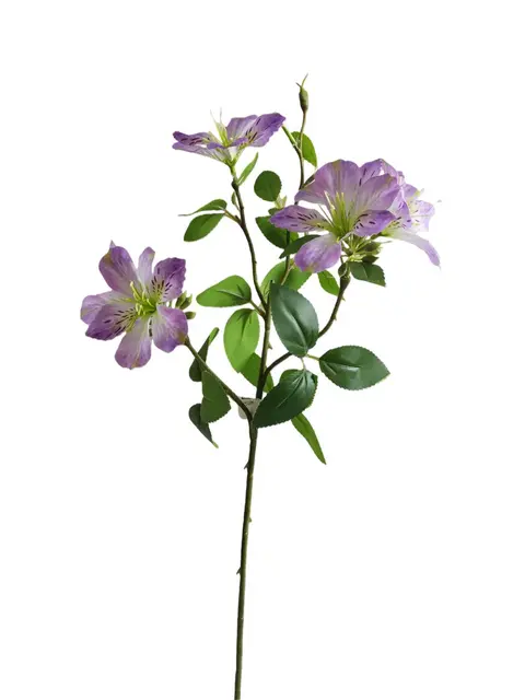 Silk 64*20*15CM Bauhinia - Assorted - Wholesale Artificial Flowers | EB01555023#PU