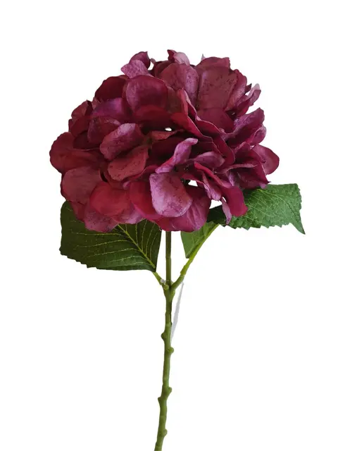 Real Touch 50*20*10CM Hydrangea - Assorted - Wholesale Artificial Flowers | EBG04530938#PU