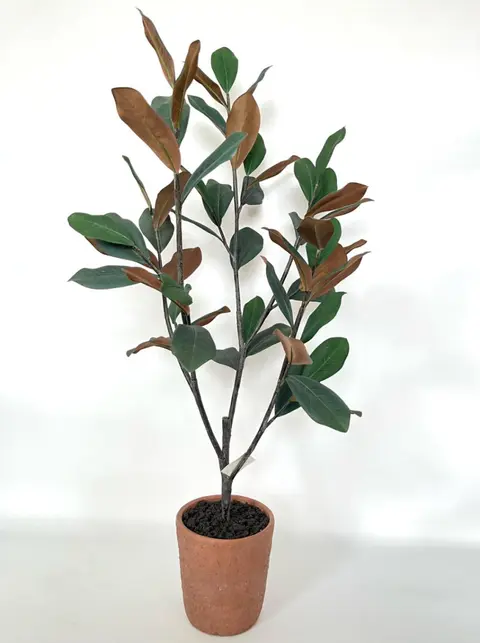 116.84CM Kapok Leaf Large Potted Plant