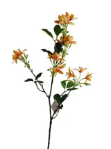 Real Touch 66*22*8CM Jasmine - Assorted - Wholesale Artificial Flowers | EBG0426619#OR thumbnail 1