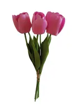Holding tulips in hand - Assorted thumbnail 1