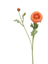 Real Touch Artificial Ranunculu Stem - 2 Heads - 19.29" thumbnail 5
