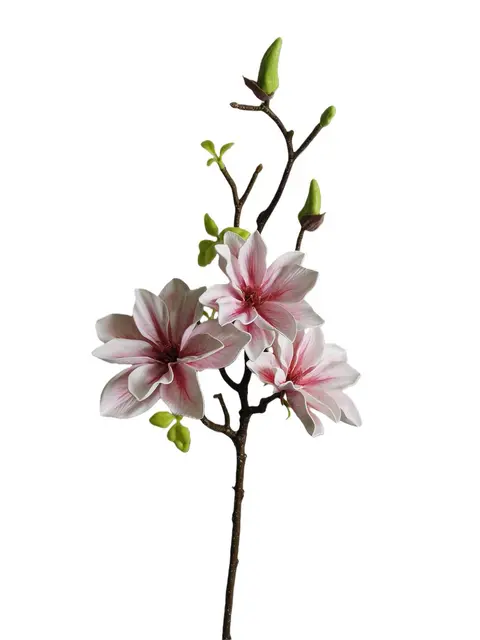Silk 70*23*10CM Magnolia - Assorted - Wholesale Artificial Flowers | EB022603012#PK