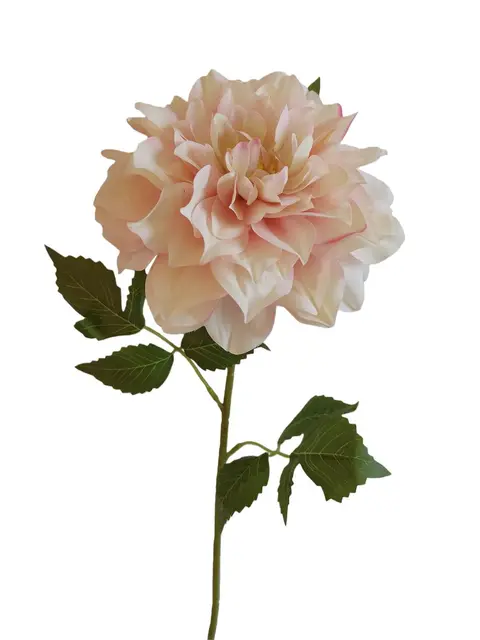 Silk 60*14*10CM Dahlia - Cream - Wholesale Artificial Flowers | EB0326006#5