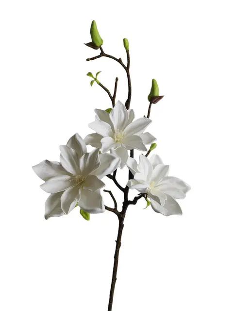 Silk 70*23*10CM Magnolia - Assorted - Wholesale Artificial Flowers | EB022603012#WH